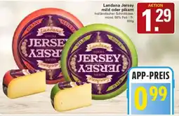 WEZ Landana Jersey Angebot