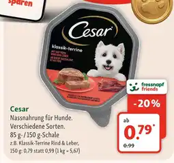 Fressnapf Cesar klassik-terrine rind & leber Angebot