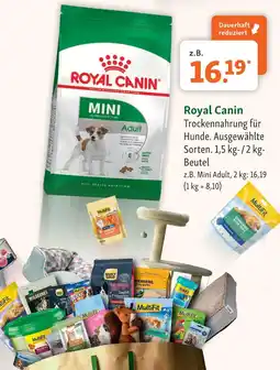 Fressnapf Royal canin mini adult Angebot