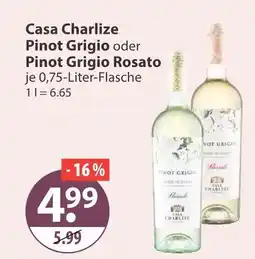 V Markt Casa charlize pinot grigio Angebot
