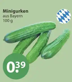 V Markt Minigurken Angebot