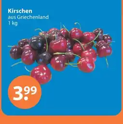 V Markt Kirschen Angebot