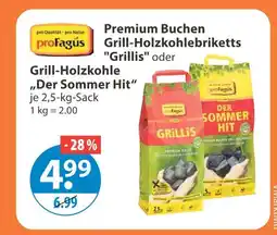V Markt Profagus grill-holzkohle Angebot