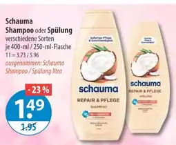 V Markt Schauma shampoo Angebot