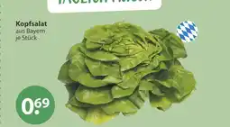 V Markt Kopfsalat Angebot