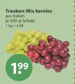 V Markt Trauben-mix Angebot