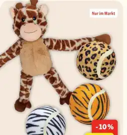 Fressnapf Beeztees Sommerspielzeug Angebot