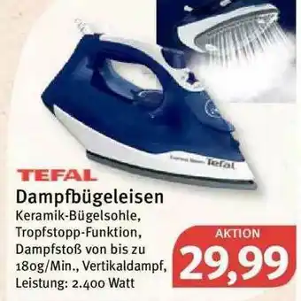 Feneberg Dampfbügeleisen Angebot