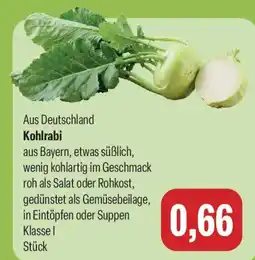 Feneberg Kohlrabi Angebot