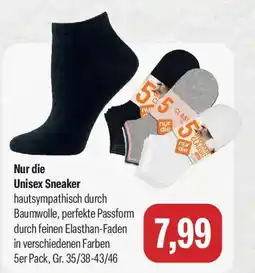 Feneberg Nur die Unisex Sneaker Angebot