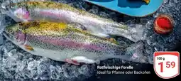 Globus Rotfleischige Forelle Angebot