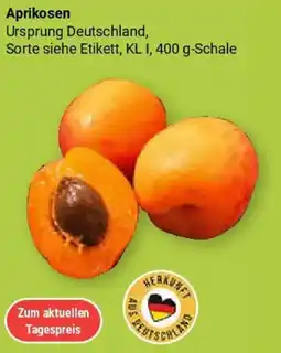 Globus Aprikosen Angebot