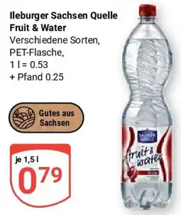 Globus lleburger Sachsen Quelle Fruit & Water Angebot