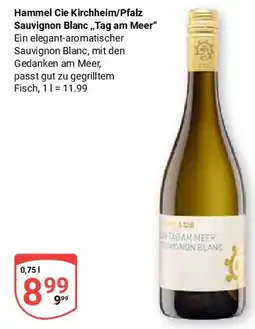 Globus Hammel Cie Kirchheim/Pfalz Sauvignon Blanc,,Tag am Meer" Angebot