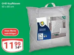 Globus OHO Kopfkissen Angebot