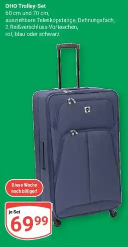 Globus OHO Trolley-Set Angebot