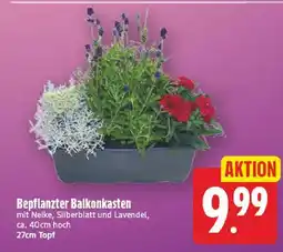 E-Center Bepflanzter balkonkasten Angebot