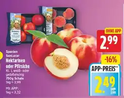 E-Center Sanlucar nektarinen Angebot
