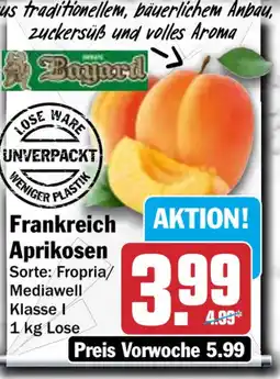 HIT Frankreich Aprikosen Angebot