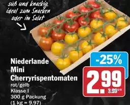 HIT Niederlande Mini Cherryrispentomaten Angebot