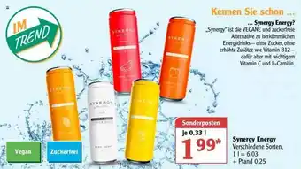 Globus Synergy Energy Angebot