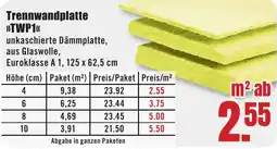 B1 Discount Baumarkt Trennwandplatte »TWP1« Angebot