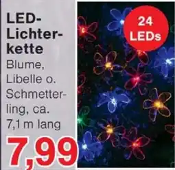 Wiglo Wunderland LED-Lichterkette Blume, Libelle o. Schmetterling Angebot