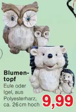 Wiglo Wunderland Blumentopf Eule oder Igel Angebot