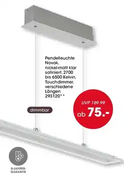 Möbel Martin Pendelleuchte Angebot