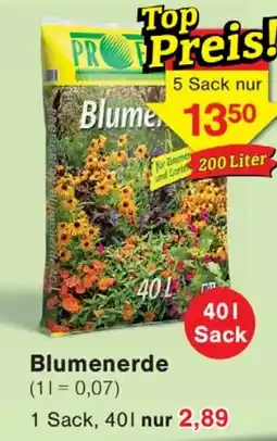 Wiglo Wunderland Blumenerde Angebot