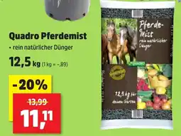 Thomas Philipps Quadro Pferdemist Angebot