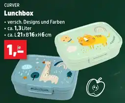 Thomas Philipps CURVER Lunchbox Angebot