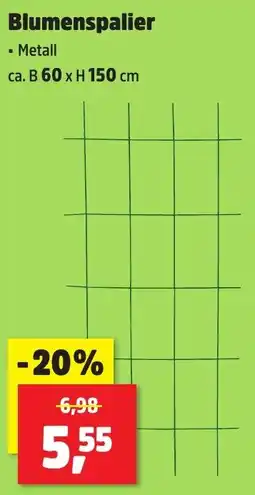 Thomas Philipps Blumenspalier Angebot