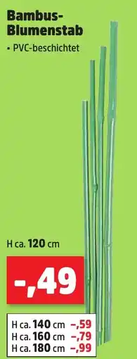 Thomas Philipps Bambus-Blumenstab Angebot