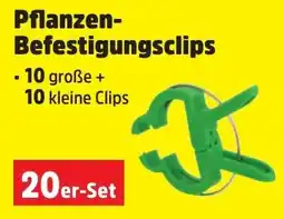 Thomas Philipps Pflanzen-Befestigungsclips Angebot