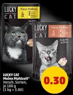 PENNY LUCKY CAT Meine Mahlzeit Angebot