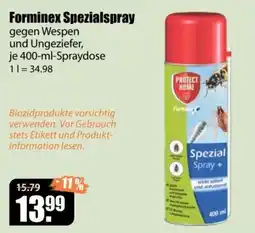 V Baumarkt Forminex Spezialspray Angebot