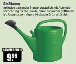 V Baumarkt Gießkanne Angebot