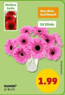 PENNY Germini Angebot