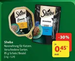 Fressnapf SHEBA Angebot