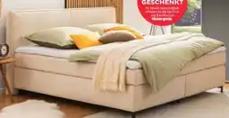 Segmüller Boxspringbett Blizzard Angebot