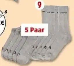 PENNY Crew- oder Sneakersocken Angebot