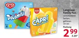 Selgros Langnese Family Fun Angebot
