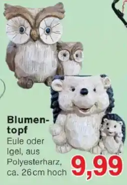 Jawoll Blumentopf Eule oder Igel Angebot