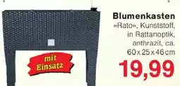 Jawoll Blumenkasten »Rato«, Kunststoff, in Rattanoptik, anthrazit Angebot