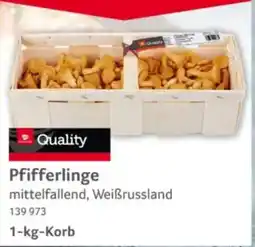 Selgros Quality Pfifferlinge Angebot