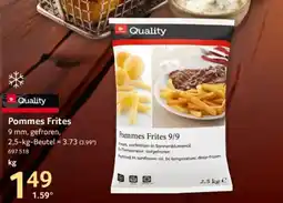 Selgros Quality Pommes Frites Angebot