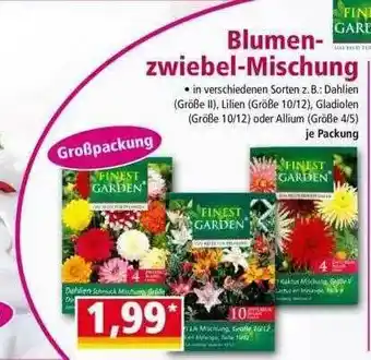 Norma Blumen-zwiebel-mischung Finest Garden Angebot