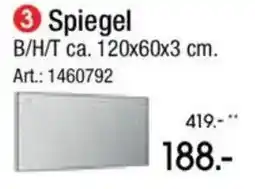 Zurbrüggen Spiegel Angebot
