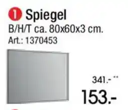 Zurbrüggen Spiegel Angebot